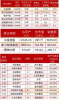 20强中梁，年报多指标已迈入行业前十