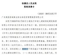 深陷开发纠纷、千亿负债压顶，奥园总裁遭遇“限高”乌龙