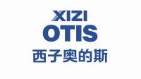 家用电梯品牌排行榜前十名,家用电梯小型多少钱