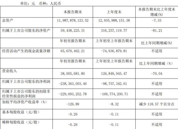 ST松江：一季度归属股东净亏损2.38亿元-中国网地产