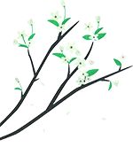 深圳前海实力品牌强势入张,为张家界描摹全球化生活版图