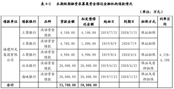 福建阳光集团：拟发行5亿元短期融资券 用于归还金融机构借款-中国网地产