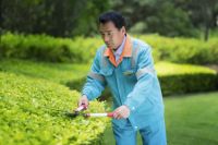 品牌物业丨以高端定制化服务,匹配不凡人生