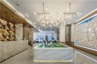 【官】嘉善西塘龙光西塘江南大境最新动态!西塘房价走势!