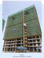 大唐世家五月家书 | 从春到夏,品鉴幸福&ldquo;家&rdquo;速度