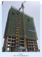 大唐世家五月家书 | 从春到夏,品鉴幸福&ldquo;家&rdquo;速度