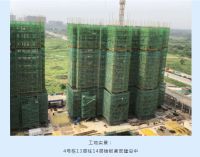 大唐世家五月家书 | 从春到夏,品鉴幸福&ldquo;家&rdquo;速度