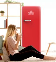 惊艳亮相！HCK哈士奇小冰箱引领时尚家居潮流