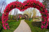 济宁恒大御峰,生活,也可以&ldquo;偷个懒&rdquo;