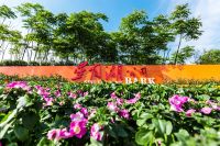 武广片区新盘亮相!圣桦D6区建面约99-133㎡户型即将入市