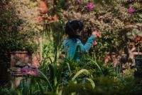 业主眼中的园林诗 | 邂逅他们在园林里的&ldquo;慢时光&rdquo;