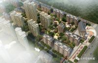 烟台,我对这座城市的浪漫思考