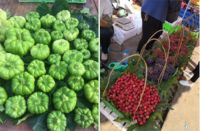 米线8元/碗,总价16万/套,这样的云南石林旅居养老香不香?