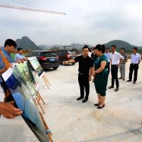 城中区委书记金忠调研静兰湾文旅小镇项目