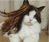 居然有好物丨试用这几款卫浴产品后，我逢人就推荐！