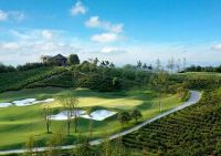 安吉凤凰国际缓山简直太牛了!震撼人心-开盘时间!