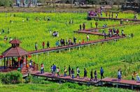 建设花漾花都,实现全域花开!花都将塑造湾区北部新格局