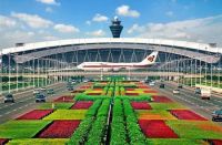 建设花漾花都,实现全域花开!花都将塑造湾区北部新格局