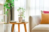 剧透 | 令全烟台心动的生活方式,竟然在这里!