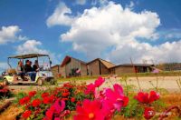 济南版《向往的生活》,最近的&ldquo;诗和远方&rdquo;原来在这里