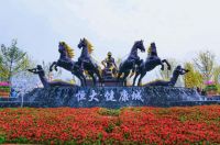 大健康IP崛起  重庆恒大健康城打造生态人居新标杆