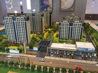 翡翠天宸不可思议了-价格一出来吓到我了,买的人注意了!