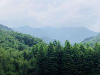 杭州临安区天目观山月这么火,原来如此震撼!一般人还真想不到啊