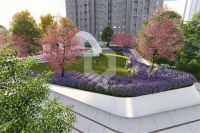 宝山宝林枫景苑最火楼盘_&mdash;&mdash;图文解析!内部消息【爆料】!!!