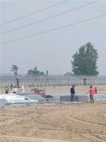 &ldquo;麦收前就把整年的钱赚兜里了&rdquo;