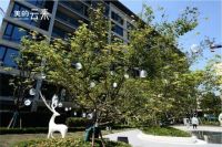 智爱生活|美的&middot;云来示范区盛大开放,惊艳全场