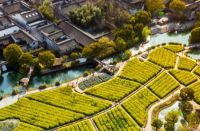 海宁盐官绿城理想水镇最新更新,介绍&mdash;官网发布&mdash;售楼中心&mdash;电话