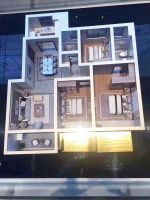 嘉兴嘉善西塘龙光江南大境彻底火了,原因究竟是?来看以下图文,