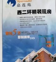 学区房最后狂欢:最牛学区120天1平米涨5万,买就赚250万