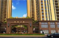 平湖滨海之星真是值得一看!大家评价特别高【官】