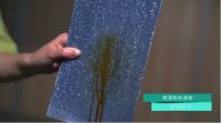 《任性实验室》×雨虹：“缝”里的秘密 90%的人不知道