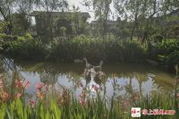 福州“都市最美村落”要来了!地点就在……