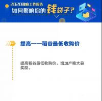 2020政府工作报告 让你的钱包鼓起来