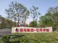 黑马牡丹华都 繁华城央 公园静里