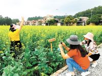 开平因地制宜打造五大示范点 绘制生态宜居美丽乡村新画卷