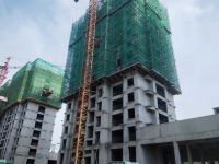 理想国 | 施工播报:初夏不负&ldquo;家&rdquo;期 美好如约而至