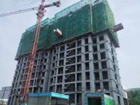 理想国 | 施工播报:初夏不负&ldquo;家&rdquo;期 美好如约而至