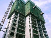 理想国 | 施工播报:初夏不负&ldquo;家&rdquo;期 美好如约而至