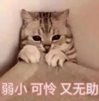 你成功躲过了业务员一遍遍的邀约!却没能躲过房价一次次的上涨,