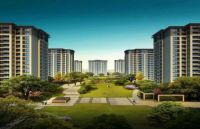 海盐柳岸春风彻底火了,原因究竟是?来看以下图文,就懂了!