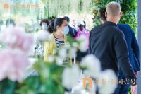 逾千人到访!保利&bull;公园壹号最美颜值示范区 倾城盛绽