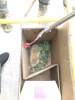 太原市:刺猬一家成功&ldquo;搬家&rdquo;