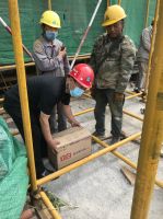 太原市:刺猬一家成功&ldquo;搬家&rdquo;