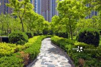 海宁尖山鸿翔蔚蓝海岸府彻底火了,原因究竟是?来看以下图文