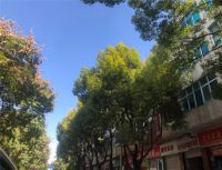 总价16万起,在昆明石林买到的除了房子,还有美好的生活