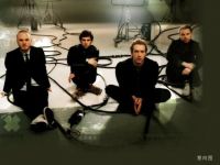 听心VOL.11 | 听见初夏的款款深情,唤醒着心灵